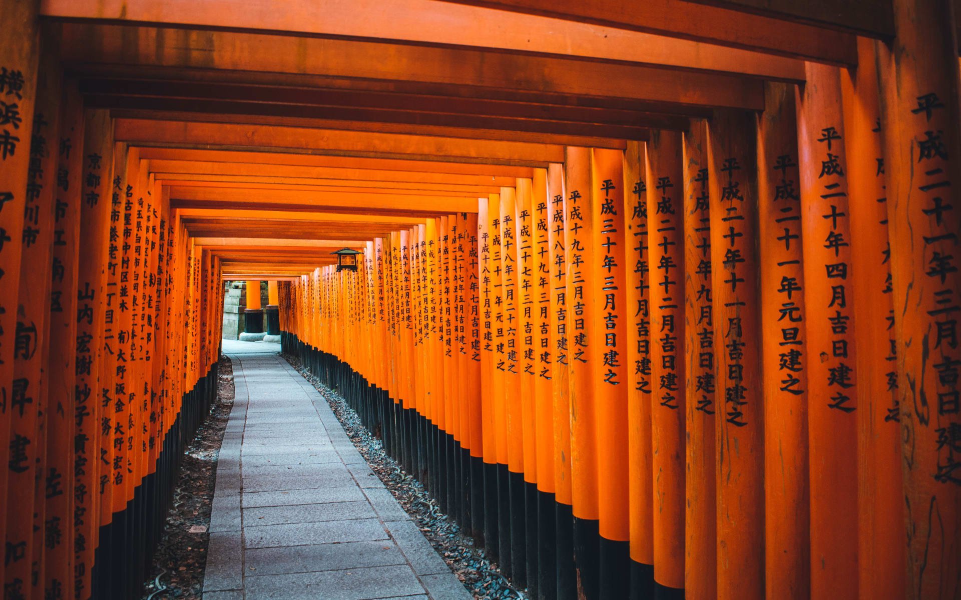 Kyoto_Torii_Gates_Free_Stock_Image_Unsplash_2019_CCRomeo_A_okuzlk-1